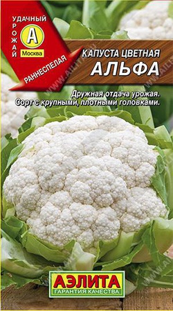 Капуста цветная альфа фото