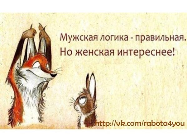 Логика правильна. Мужская логика правильная но женская. Мужская логика правильная но женская интереснее. Мужская логика и женская логика приколы. Женская логика интереснее.