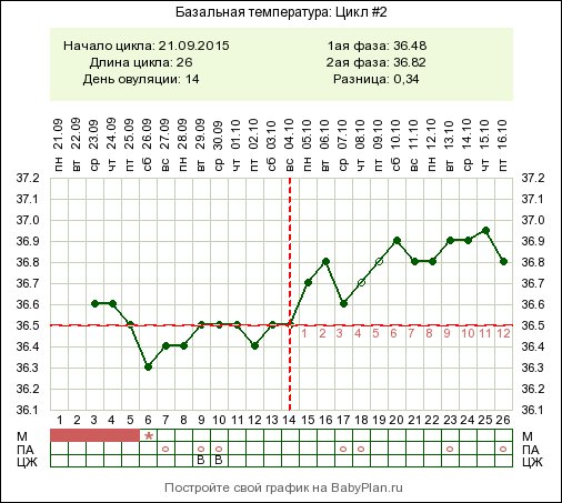 Беременный цикл. Базальная температура цикл. При овуляторном цикле базальная температура. Цикл БТ С овуляцией. Базальная температура весь цикл норма.