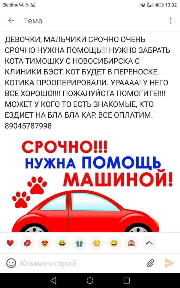 Нужна помощь автоволонтера картинки