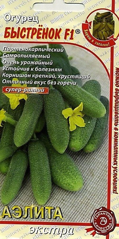 Огурцы Бьерн Купить Семена