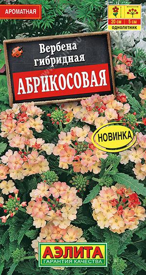 Вербена Профессиональные Семена Купить Оптом