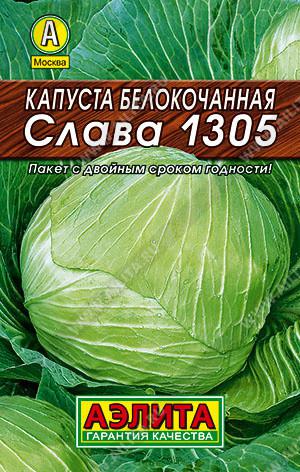 Капуста Слава 1305 Описание Сорта Фото