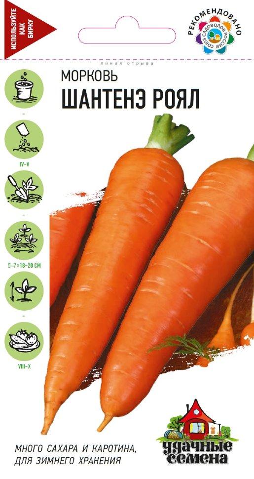 Морковь шантанэ роял описание сорта фото