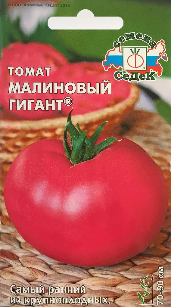 Томат малиновый гигант. СЕДЕК томат малиновый ранний. СЕДЕК томат малиновый гигант. Семена томат малиновый гигант. Помидоры Робинзон f1.