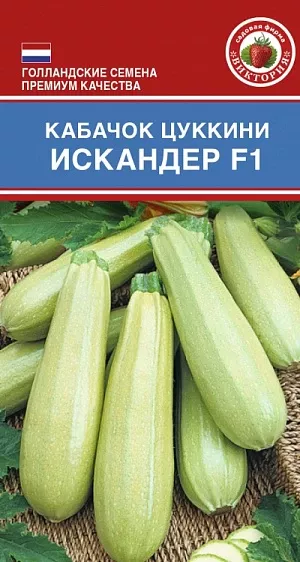 Кабачок Искандер F1 Отзывы Фото