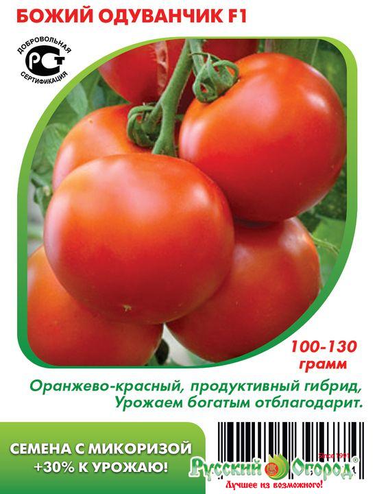 Одуванчик для томатов. Томат сорт одуванчик. Томат Божий дар. Сорт помидор Божий дар.