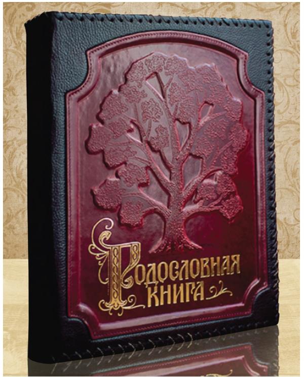 Бесценная книга. Обложка для родословной. Родословная книга. Обложка для родословной книги. Оплетка книги.